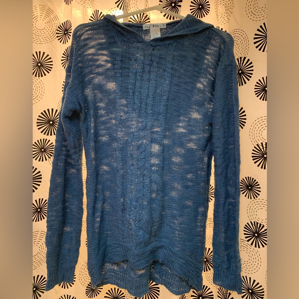 Blue ‘Say What?’ Hooded Sweater